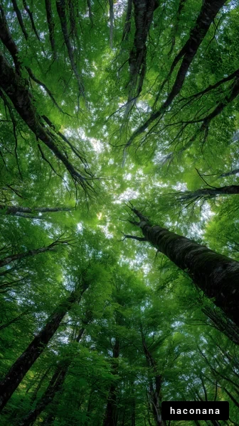 緑に包まれた森の景色