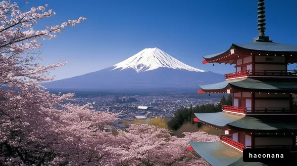 富士山と桜の景色