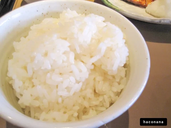 ふっくらごはんの盛り付け