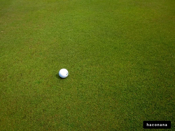 ゴルフのボールと芝生