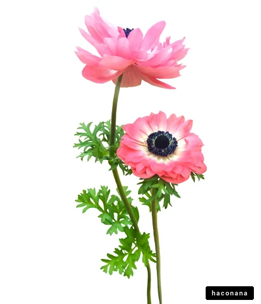 華やかなピンクの花