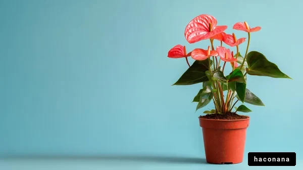 鮮やかな観葉植物の写真