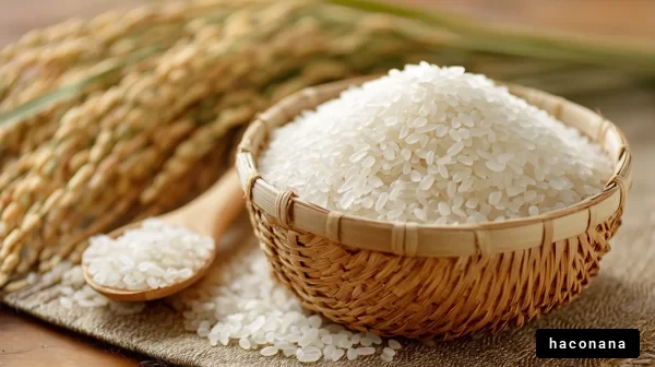 お米と穀物の写真