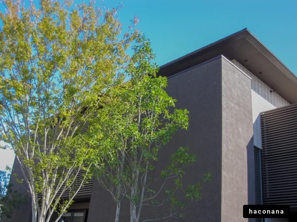 現代的な建物と木々