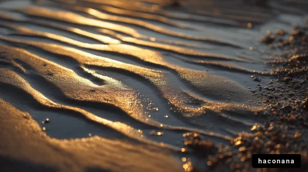 砂浜の夕陽の反射