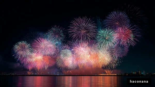 美しい花火の夜景