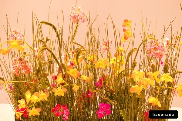 カラフルな花のアレンジメント