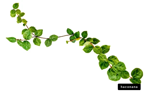 葉っぱの揺れる緑