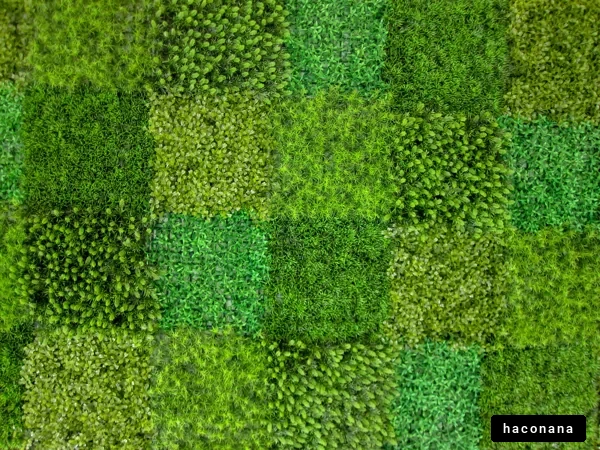 緑のグラデーションの草地