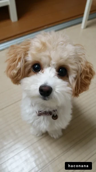 かわいい犬のポートレート