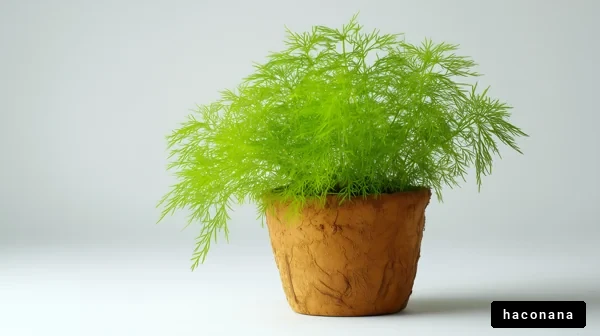 緑のプランツポット