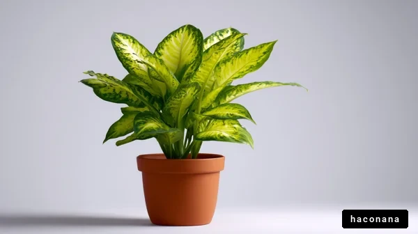 緑あふれる観葉植物