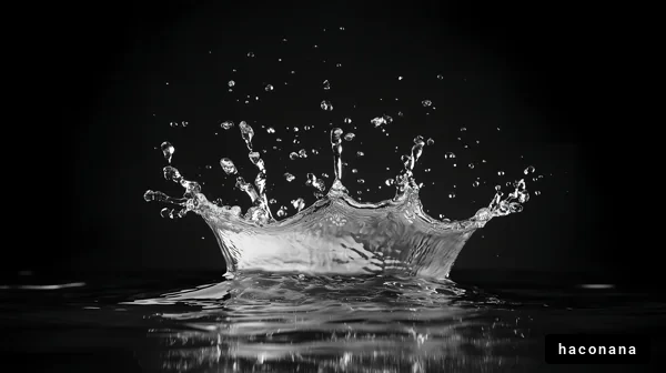 水の飛沫と黒い背景