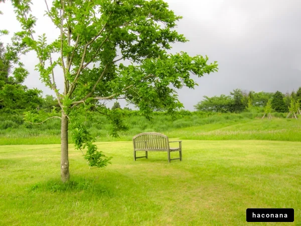 静かな公園の風景