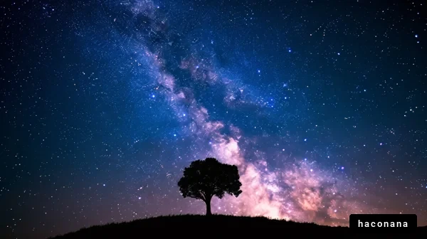 星空と木のシルエット