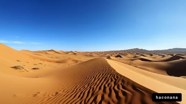 広大な砂漠の風景