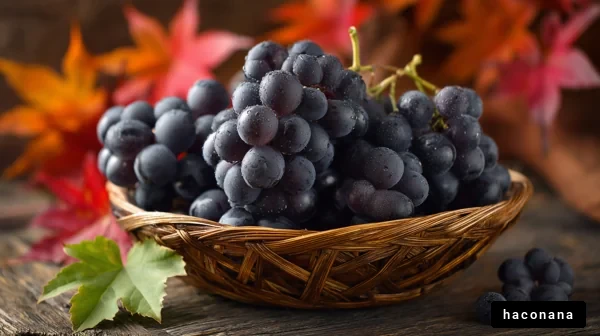 秋のぶどうと彩り