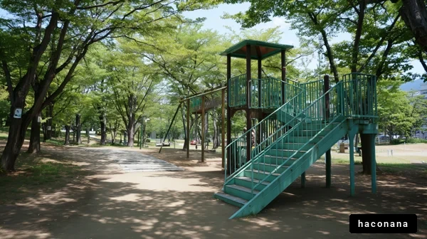 緑に囲まれた公園の遊具