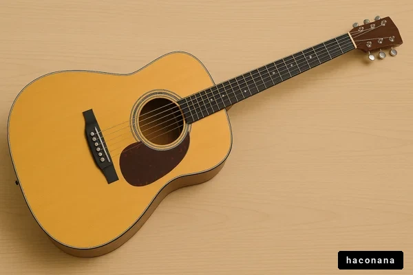 アコースティックギター