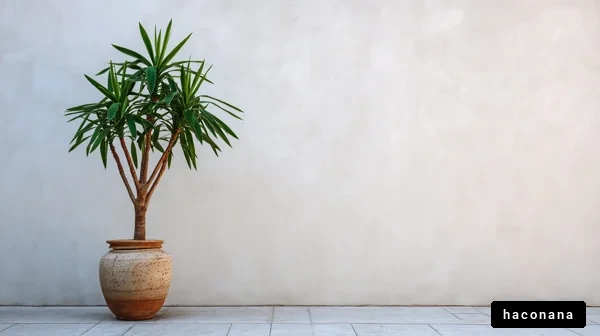 シンプルな植物の美しさ