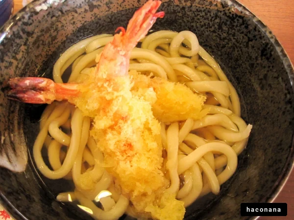 天ぷらうどんの美味しさ