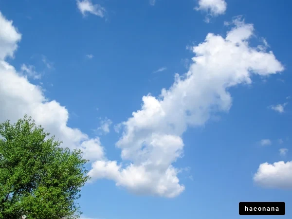 青空と雲の風景