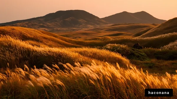 黄金色の草原と山々