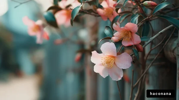 美しい花の咲く風景