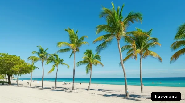 美しいビーチとヤシの木