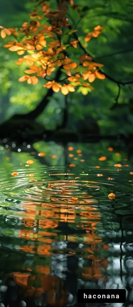 水面に映る秋の風景