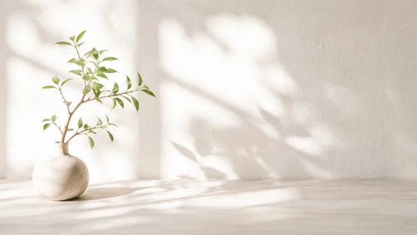 白い花瓶と観葉植物の明るいインテリア