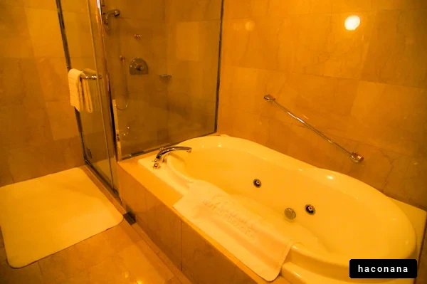 豪華なバスルームの景観