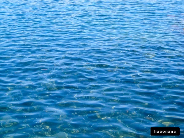 澄んだ海の水面