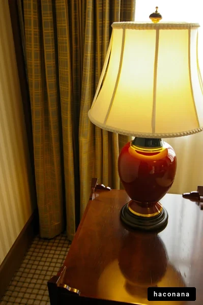 優雅なランプとカーテン