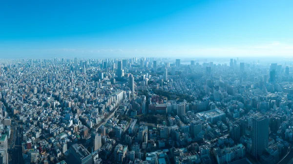 大都市の空撮パノラマ風景