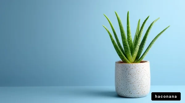 青い背景の植物