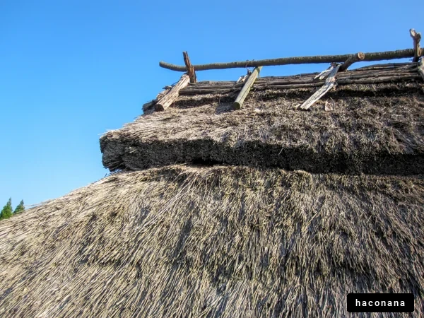 伝統的な藁葺き屋根