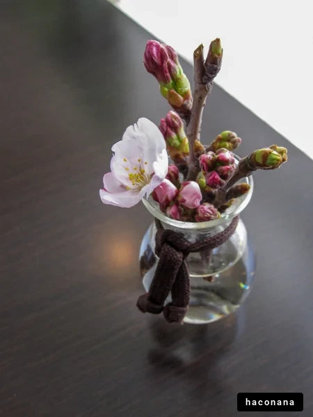 桜の花瓶アレンジ