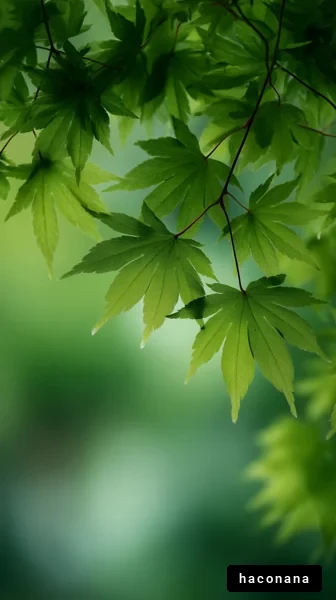 緑の葉の鮮やかさ