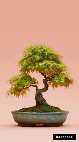 美しい盆栽の植物