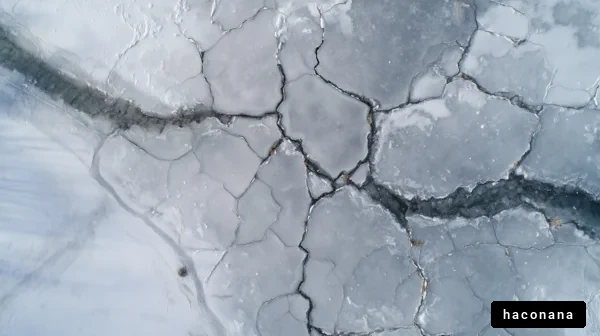 割れた氷の美しい模様