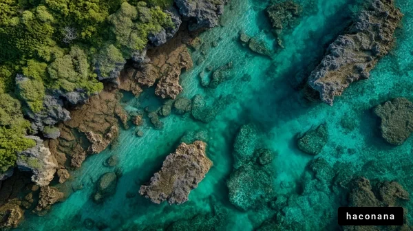 青い海と岩礁の風景