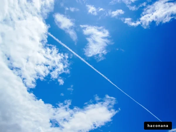 青空に浮かぶ雲