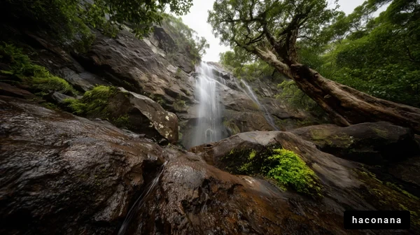 美しい滝の風景