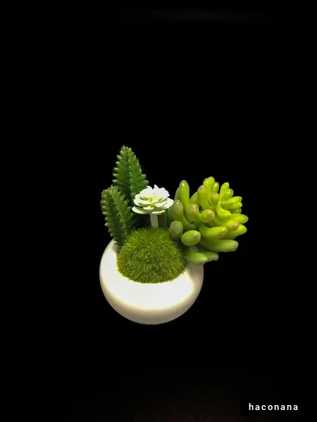 スタイリッシュな観葉植物のアレンジ