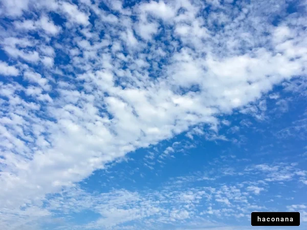 青空と雲の風景