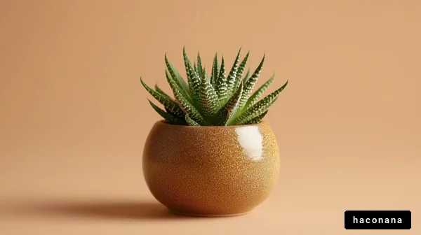 独特なプロセスの観葉植物