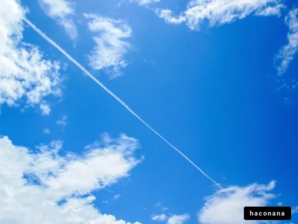 青空に浮かぶ雲