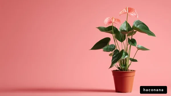 ピンクの花を咲かせる観葉植物