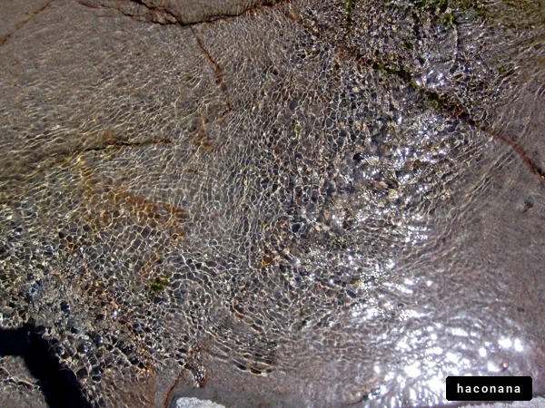 水面が美しい景色